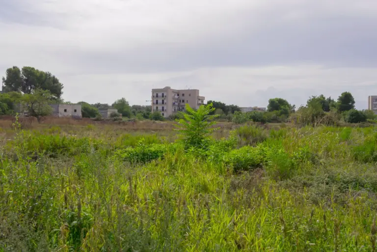 Zaniedbana działka budowlana